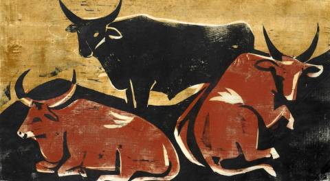 <p>Gunter Ullrich | Drei Kühe | 1957 | Farbholzschnitt</p>